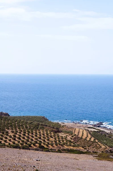 Široký Výhled Pláž Kedrodasos Ostrov Kréta Řecko — Stock fotografie