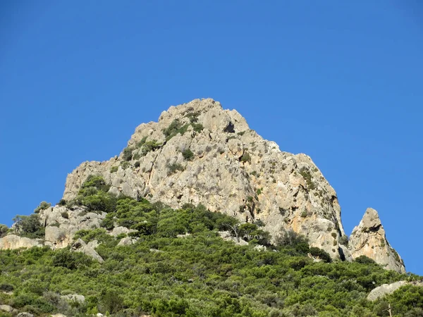 Vista Pittoresca Della Scena Della Natura — Foto Stock