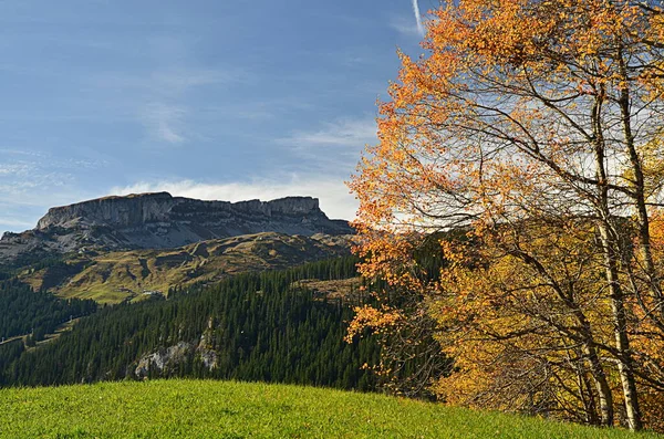 Herfst Het Kleinwalsertal — Stockfoto