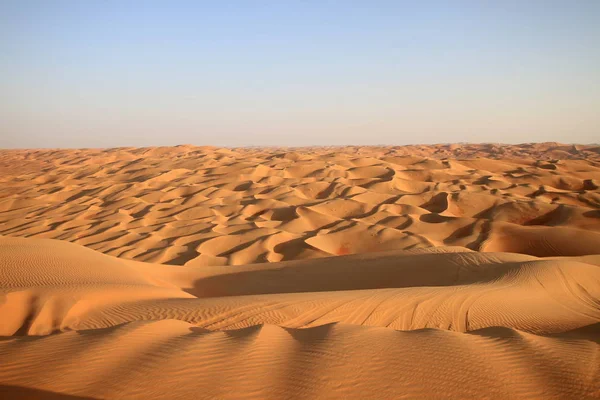 Solo Nel Deserto — Foto Stock