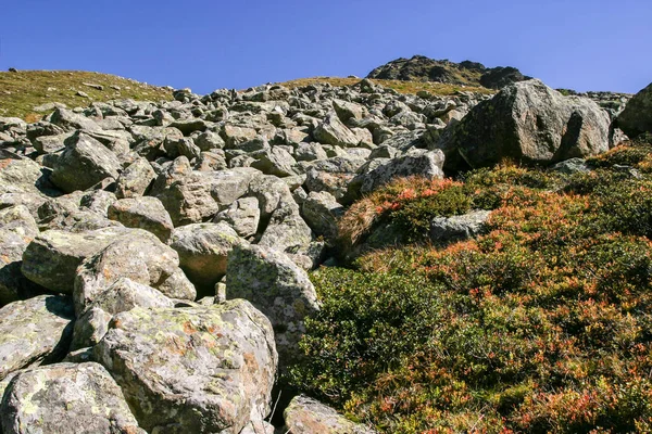 Schöne Aussicht Auf Die Natur — Stockfoto