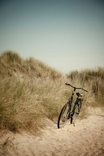 Bicicleta Playa — Foto de Stock