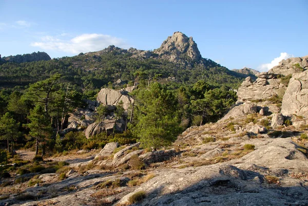 Alta Rocca Corsica — Foto Stock