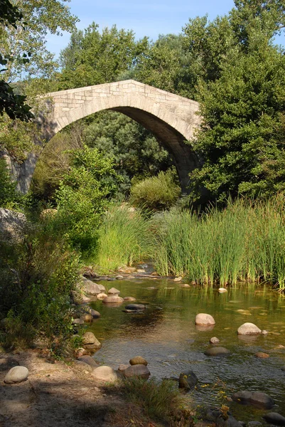 Korsika Bir Süvari Heykeli Çevirin — Stok fotoğraf