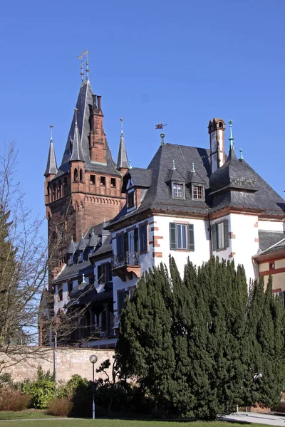 Ayuntamiento Weinheim Desde Parque Del Castillo — Foto de Stock