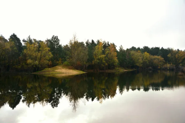 Reflexão Árvores Água — Fotografia de Stock