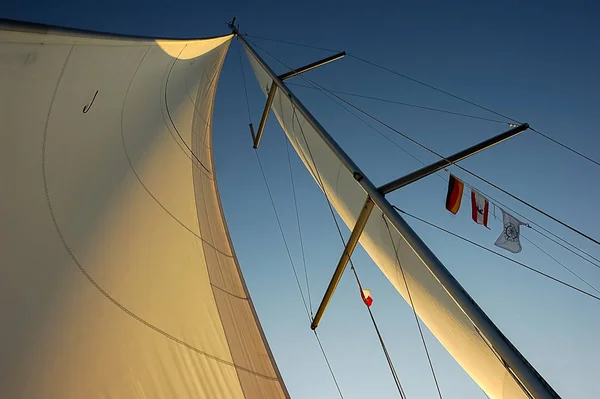 Sails Sunset — стоковое фото