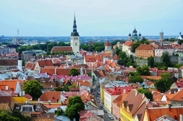 Gamla Röda Tak Tallinn Estland — Stockfoto