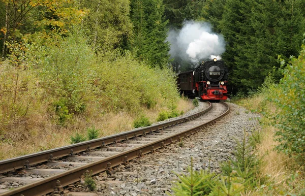 Harz Dar Ölçü Demiryolu — Stok fotoğraf