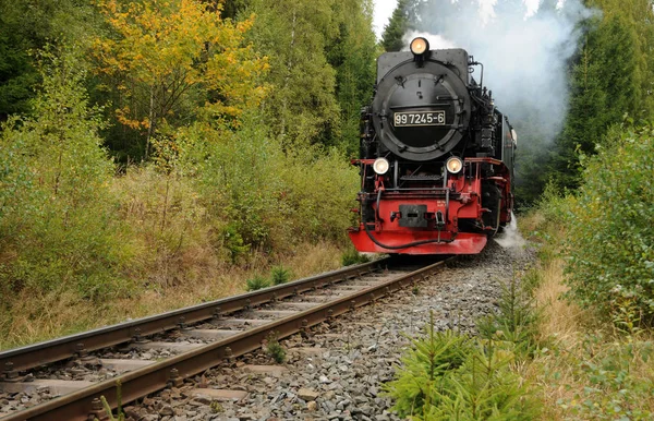 Στενό Εύρος Σιδηροτροχιάς Στο Harz — Φωτογραφία Αρχείου