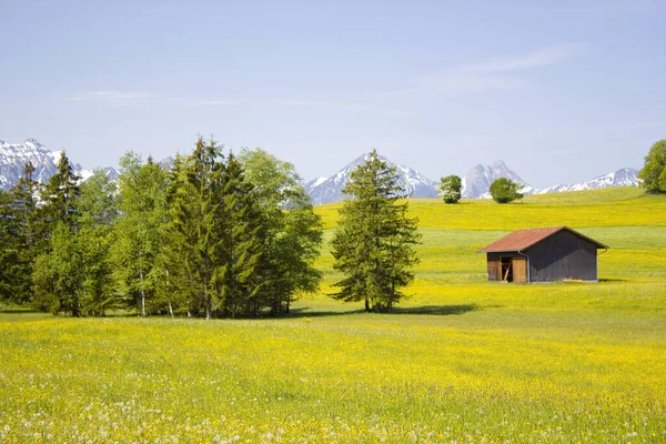 Прекрасна Панорама Горах Німеччини — стокове фото