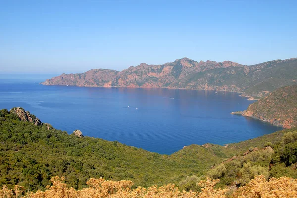 Scandola Corsica — Foto Stock