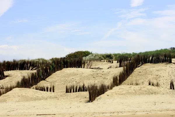 Dünenlandschaft Der Nordseeküste Belgien — Stockfoto