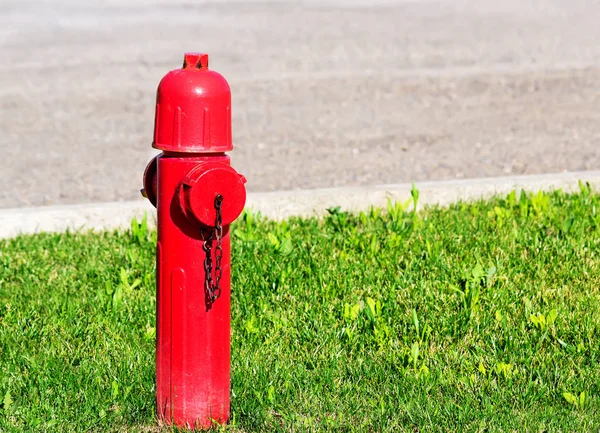 Roter Hydrant Auf Dem Rasen — Stockfoto