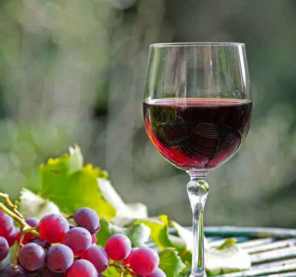 Glas Vin Med Druvor Och Blad Ett Träbord — Stockfoto