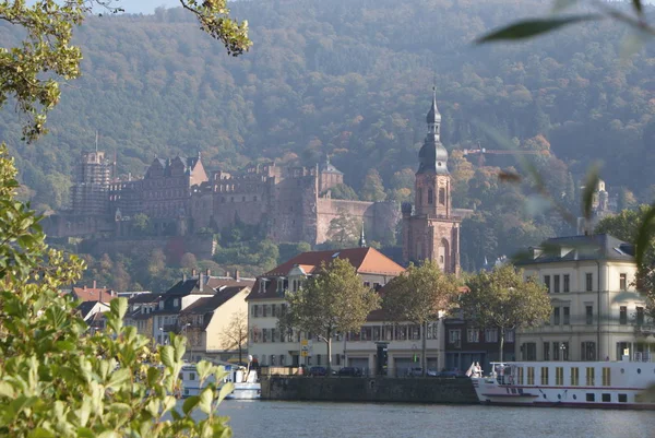 Parte Del Castillo Heidelberg —  Fotos de Stock