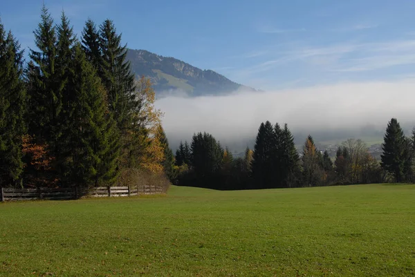 Hoge Mist Herfst — Stockfoto