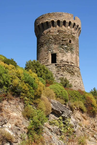 Torre Genovese Córsega — Fotografia de Stock