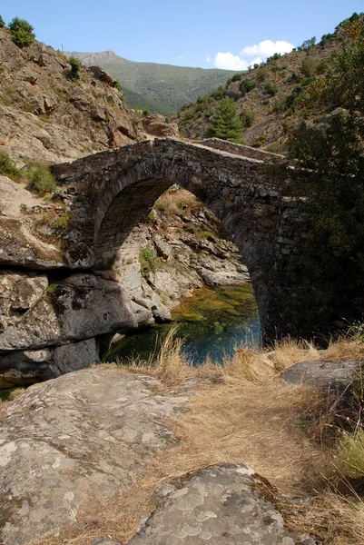 Puente Piedra Las Gargantas Asco Córcega —  Fotos de Stock