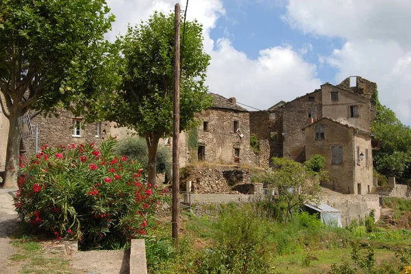 Mimari Biçim Seçici Odak — Stok fotoğraf