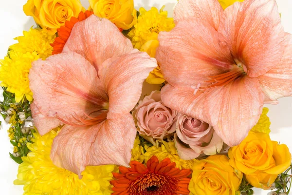 Flores Individuales Rosas Amarilis Alfombra Flores Crisantemo — Foto de Stock