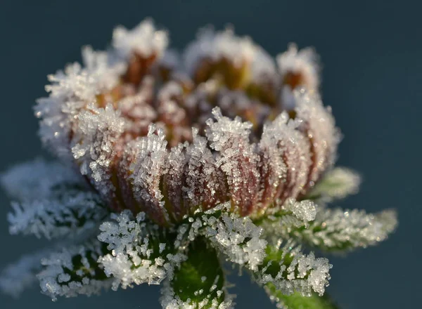 First Cold Wave — Stock Photo, Image