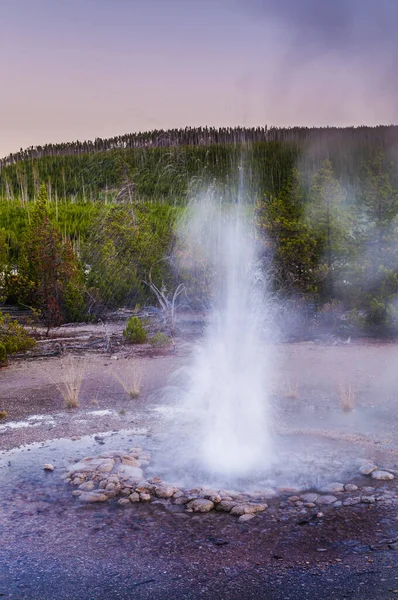 Vixen Geser Norris Basin Yellowstone — 스톡 사진