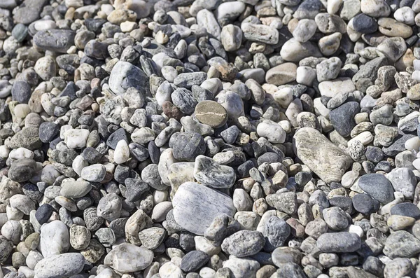Kalabria Detail Beach Pebbles Morze Katanzaro — Zdjęcie stockowe