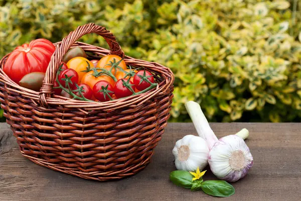 Verschillende Ingrediënten Selectieve Focus — Stockfoto