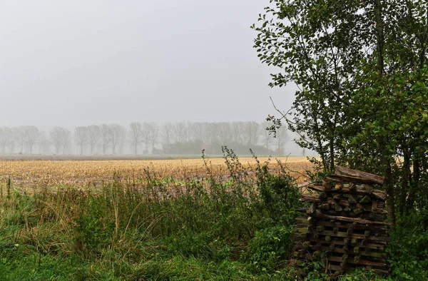 Tempo Piovoso Autunno — Foto Stock