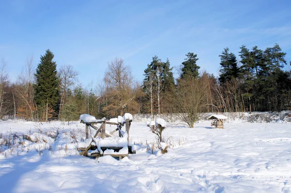 Picturesque View Outdoor Scene — Stock Photo, Image