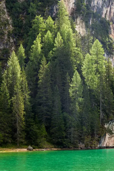 Południowy Tyrol Lub Alto Adige Jest Prowincją Północno Wschodnich Włoszech — Zdjęcie stockowe