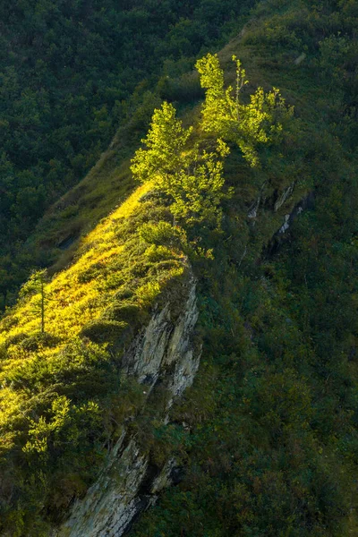 Doğanın Güzel Manzarası — Stok fotoğraf