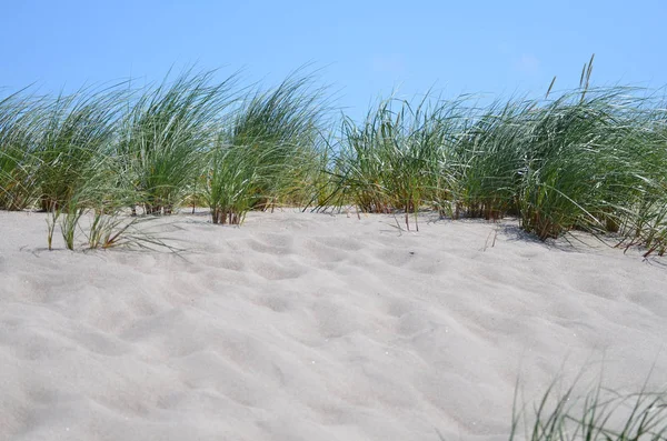 Spiaggia Baltica Concetto Viaggio — Foto Stock