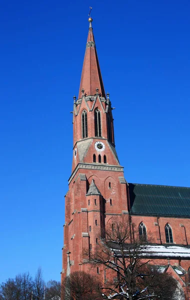 Catedral Floresta Bavária — Fotografia de Stock