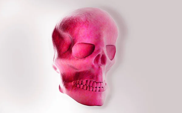 Ilustración Digital Del Cráneo Humano Fondo Color — Foto de Stock