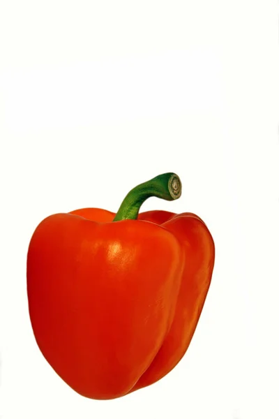 Paprika Geïsoleerd Witte Achtergrond — Stockfoto