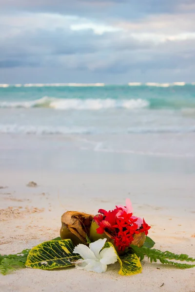 Whipped Coconut Consumed Tropical Flowers Lying Sand Ocean Background — Stock Photo, Image