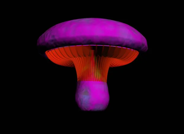 Cogumelos Flora Fungos Botânica — Fotografia de Stock