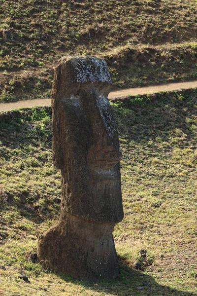 Moais Auf Der Osterinsel — Stockfoto