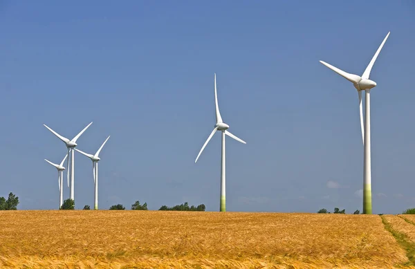 Molinos Viento Maizal — Foto de Stock