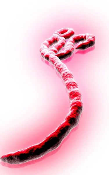 Digitale Illustratie Van Ebola Virus Kleur Achtergrond — Stockfoto