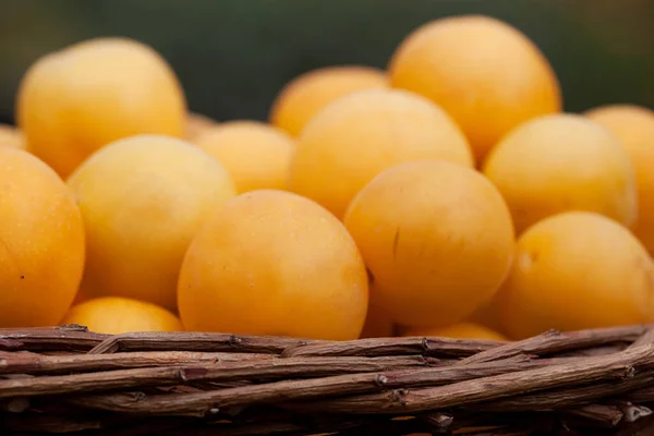 Diferentes Ingredientes Enfoque Selectivo — Foto de Stock