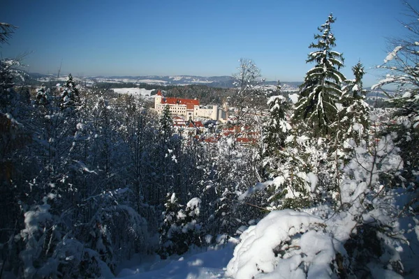 Vacker Utsikt Över Majestätisk Medeltida Slottsarkitektur — Stockfoto