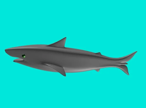 Tiburón Agua —  Fotos de Stock
