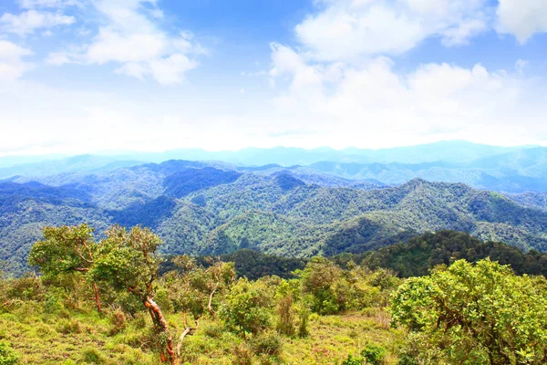 Blick Ins Tal Den Hohen Gipfeln Von 1200 Metern Nationalpark — Stockfoto