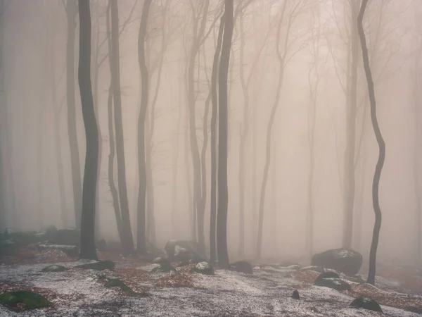 Odenwald Fog — Stock Photo, Image