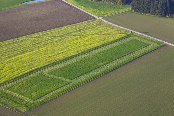 Färger Spel Naturen — Stockfoto