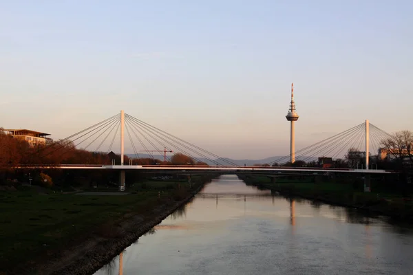 Collinisteg Über Neckar Und Telekommunikationsturm Mannheim — Stockfoto