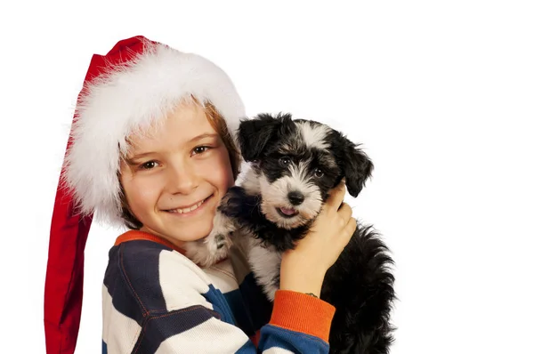 Menino Com Chapéu Papai Noel Está Segurando Filhote Cachorro Powder — Fotografia de Stock